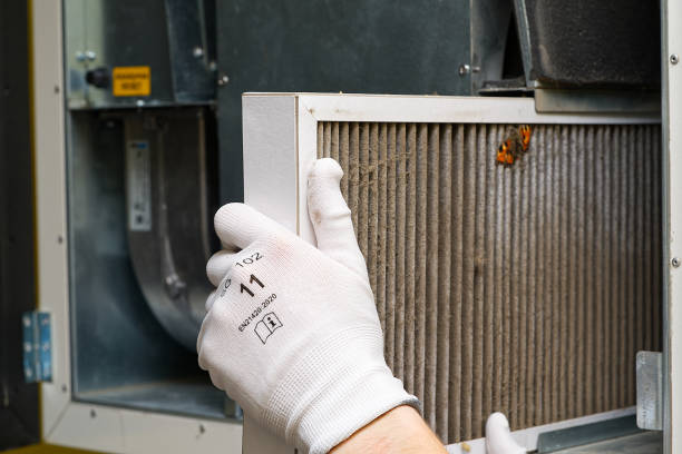 Best Professional Duct Cleaning Services  in Salisbury, MD